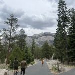 McWilliams Campground