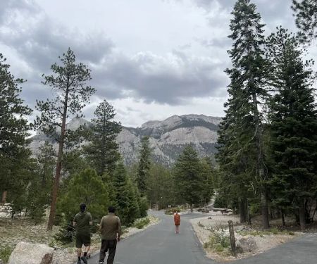 McWilliams Campground