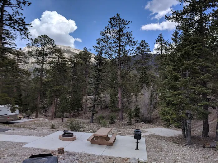 McWilliams Campground Picture 3