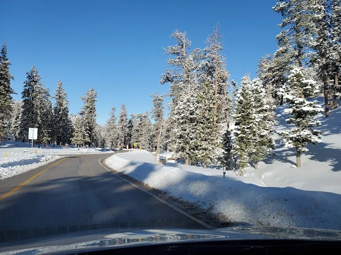 McWilliams Campground Picture 5