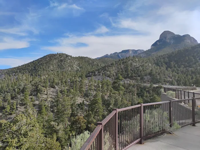 McWilliams Campground Picture 8