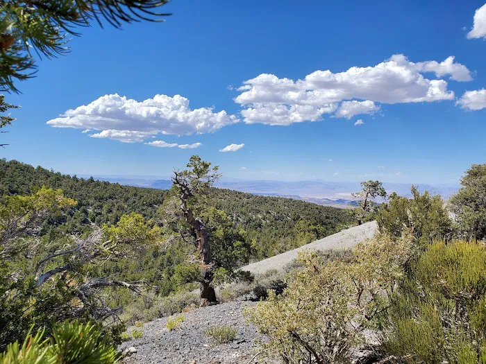 Mack's Canyon open campground Picture 5