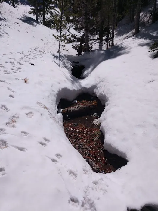 Mack's Canyon open campground Picture 7