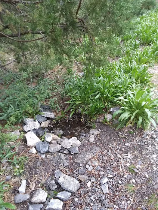 Mack's Canyon open campground Picture 8