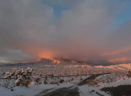 Wheeler Pass Campground