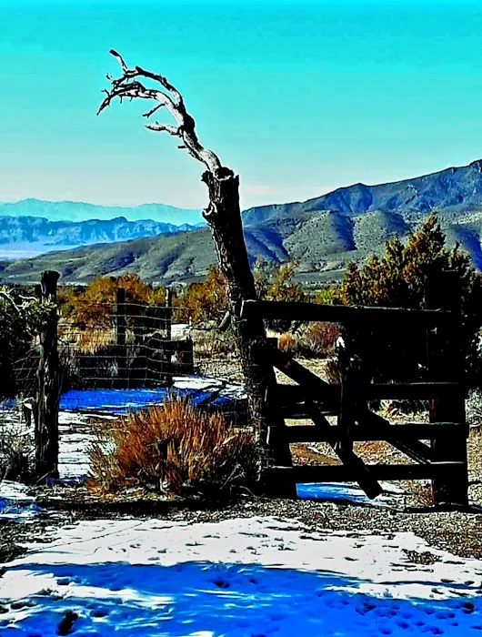 Wheeler Pass Campground Picture 5