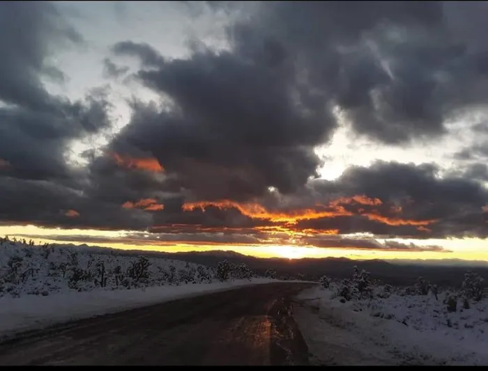 Wheeler Pass Campground Picture 4