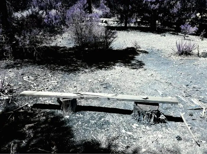 Wheeler Pass Campground Picture 9