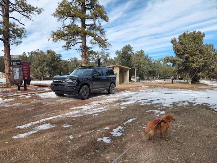 Desert Pass Campground Picture 2
