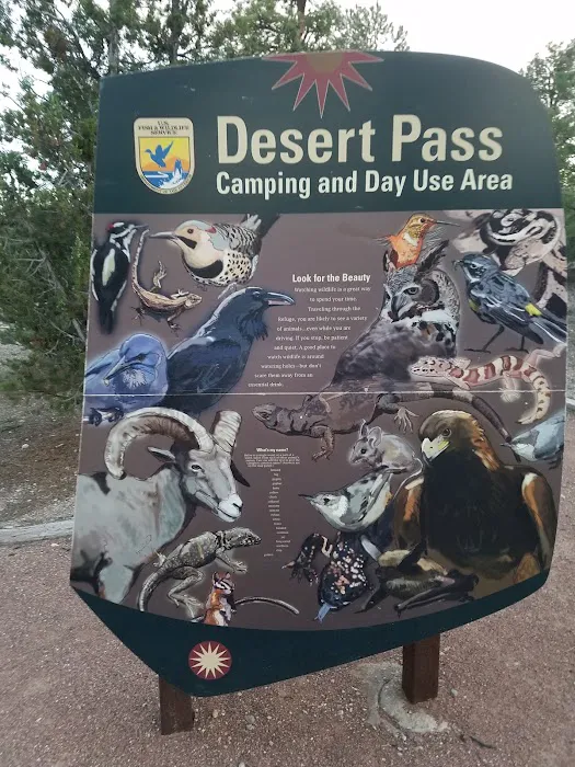 Desert Pass Campground Picture 6