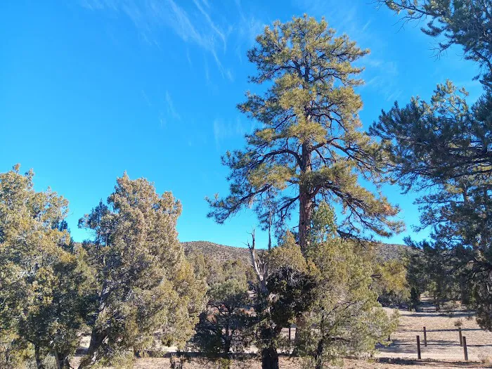 Desert Pass Campground Picture 8