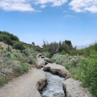 Willow Creek ico