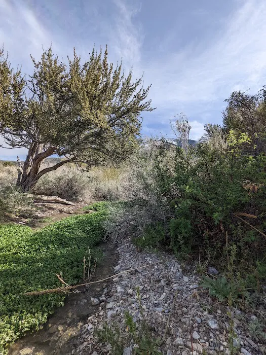 Willow Creek Picture 7