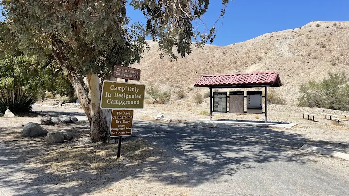 Cottonwood Cove Lower Campground Picture 3