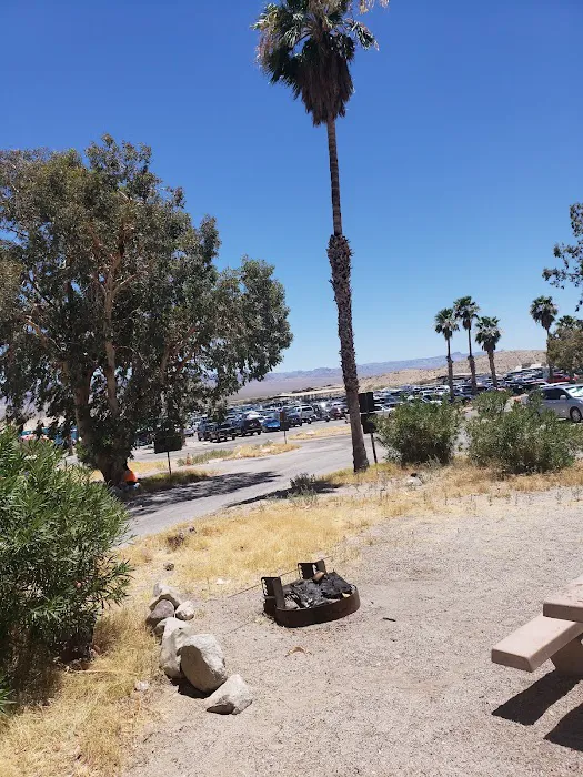 Cottonwood Cove Lower Campground Picture 6