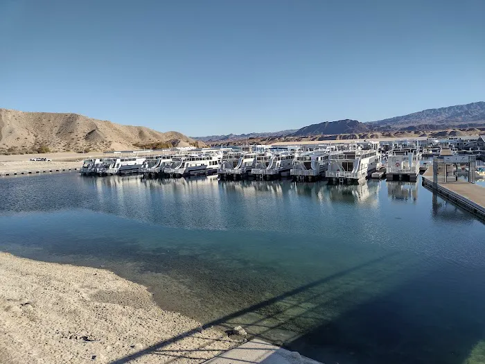 Cottonwood Cove Lower Campground Picture 5