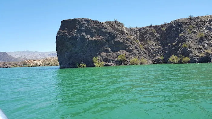 Cottonwood Cove Lower Campground Picture 10