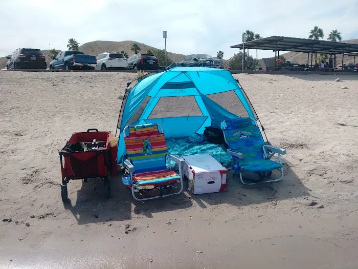 Cottonwood Cove Campground Picture 1