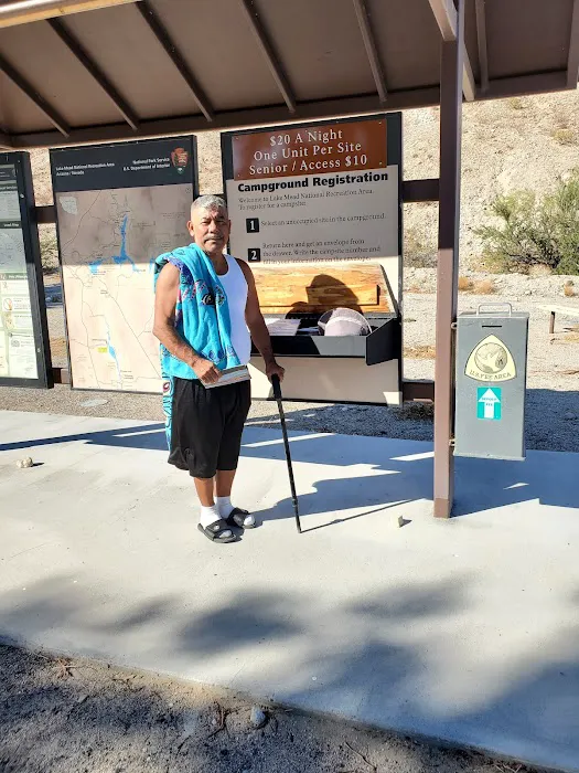 Cottonwood Cove Campground Picture 4
