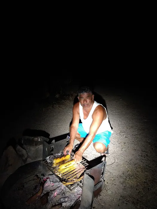 Cottonwood Cove Campground Picture 9