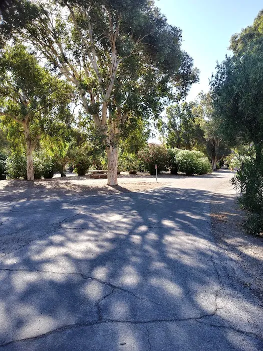 Temple Bar Campground Picture 2