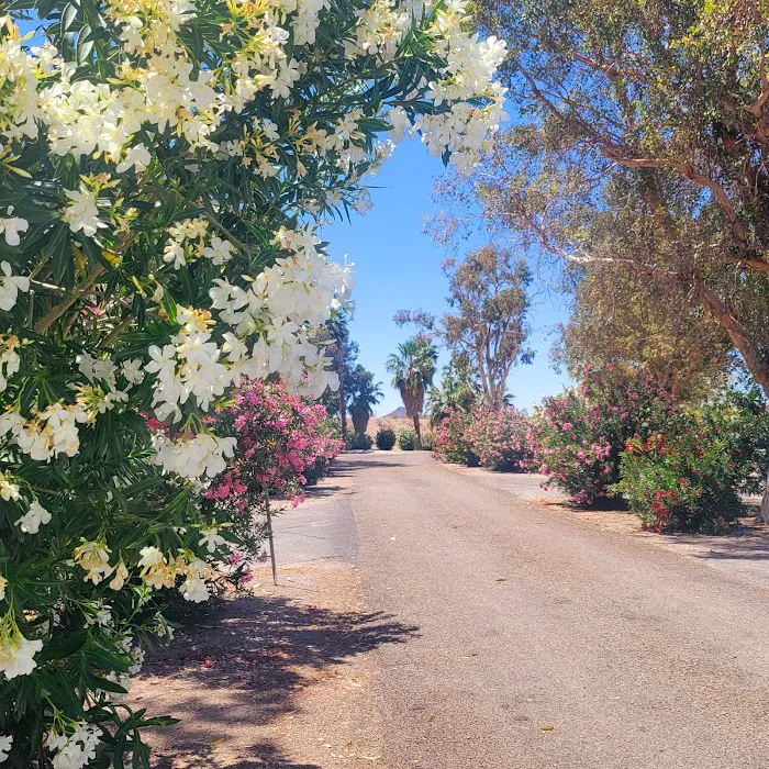 Temple Bar Campground Picture 10