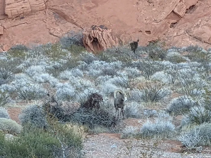 Arch Rock Campground Picture 7