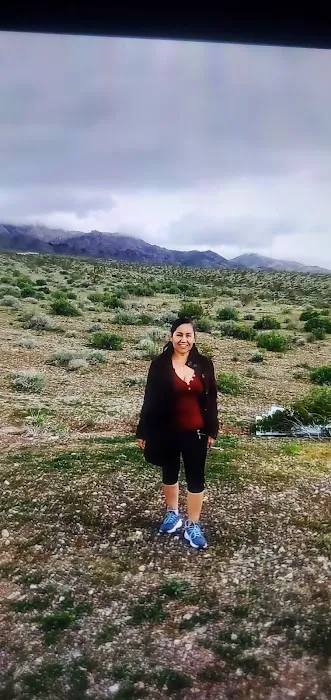 Terreno acres Antonia Rodriguez Picture 4