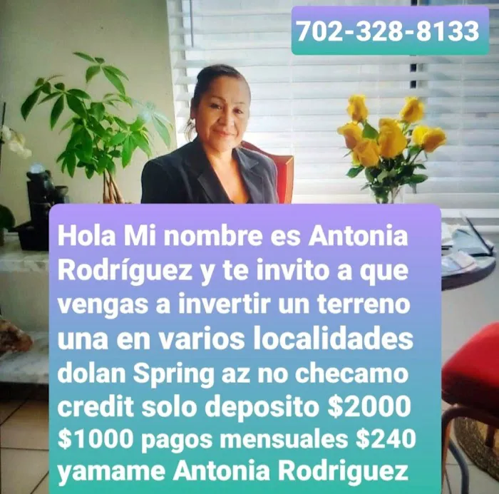 Terreno acres Antonia Rodriguez Picture 6