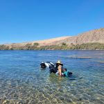 Davis Campgrounds