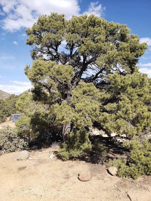 Packsaddle Campground Picture 9