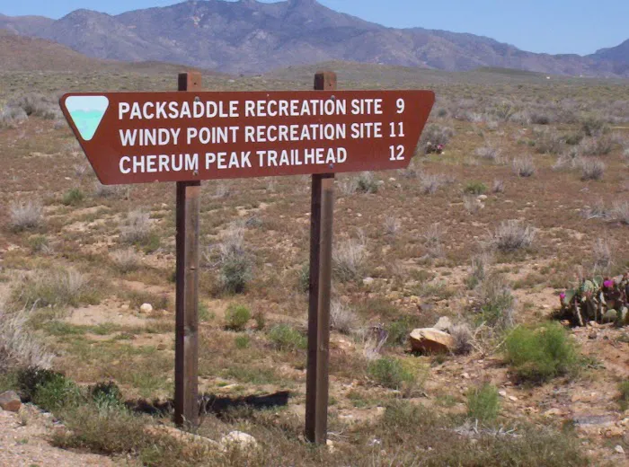 Packsaddle Campground Picture 8