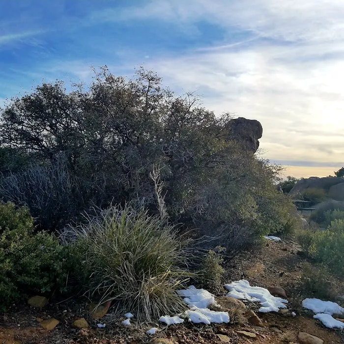 Windy Point Campground Picture 10