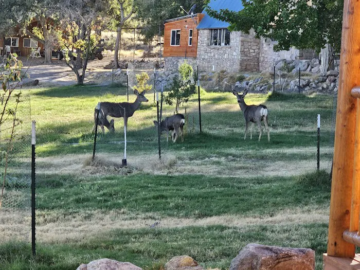 Aravada Springs Campground Picture 1
