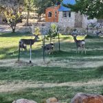 Aravada Springs Campground