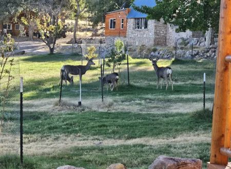 Aravada Springs Campground