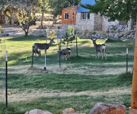 Aravada Springs Campground