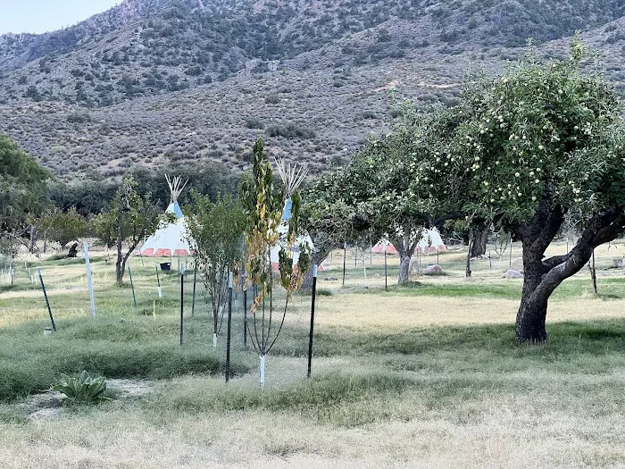 Aravada Springs Campground Picture 7