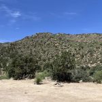 Lime Kiln Canyon Climber's Camp