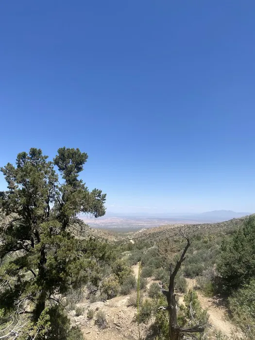 Lime Kiln Canyon Climber's Camp Picture 3