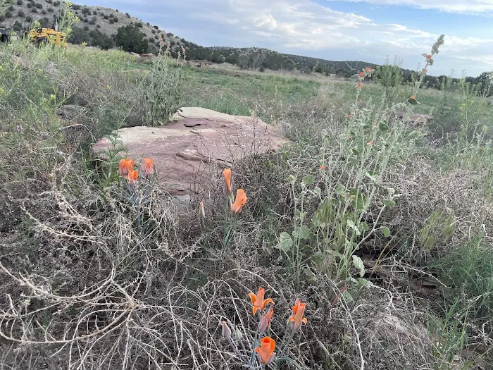 Crozier Ranch Picture 5