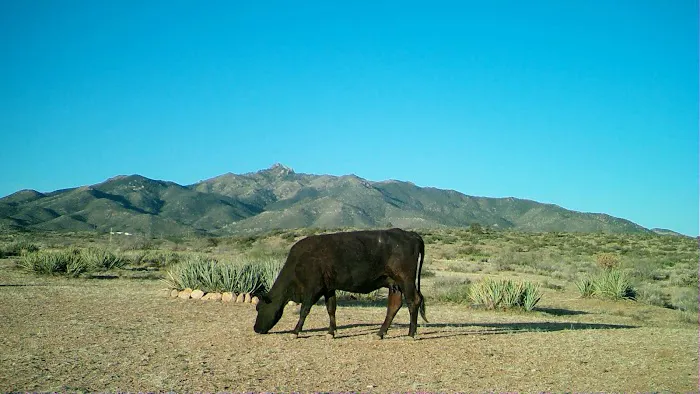 The Permaculture Paradise Village Picture 3