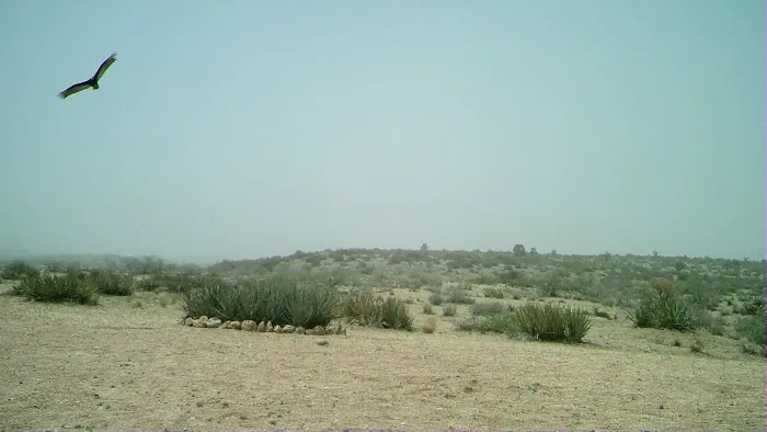 The Permaculture Paradise Village Picture 1
