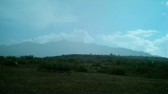 The Permaculture Paradise Village Picture 2