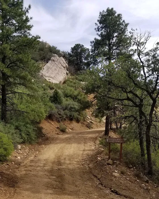 Wild Cow Campground (Federal BLM Land) Picture 4