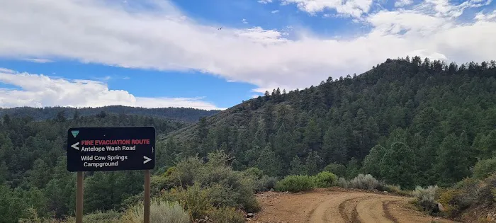 Wild Cow Campground (Federal BLM Land) Picture 7