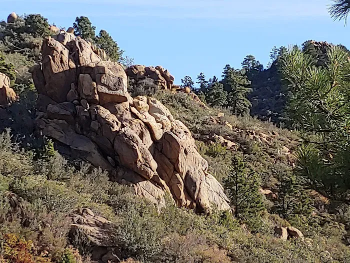 Wild Cow Campground (Federal BLM Land) Picture 9