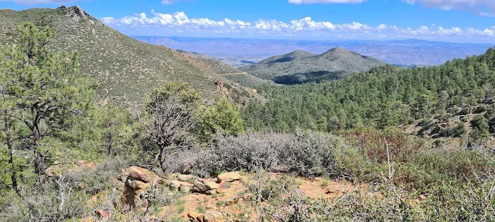 Wild Cow Campground (Federal BLM Land) Picture 8