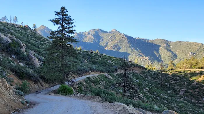 Wild Cow Campground (Federal BLM Land) Picture 5