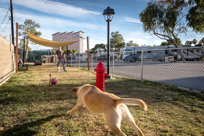 Las Vegas KOA Journey at Sam's Town Journey Picture 5